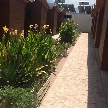 Hotel Barracuda *